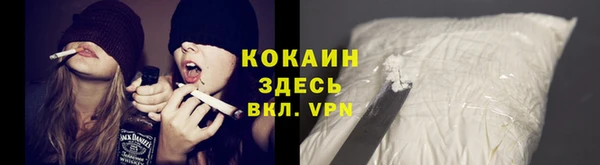 ГАЛЛЮЦИНОГЕННЫЕ ГРИБЫ Аркадак