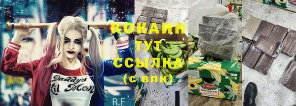 ГАЛЛЮЦИНОГЕННЫЕ ГРИБЫ Аркадак