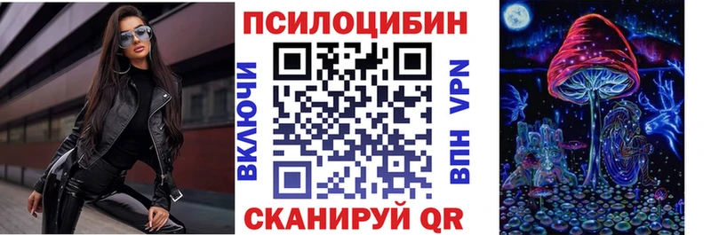 Галлюциногенные грибы Psilocybe  Темников 